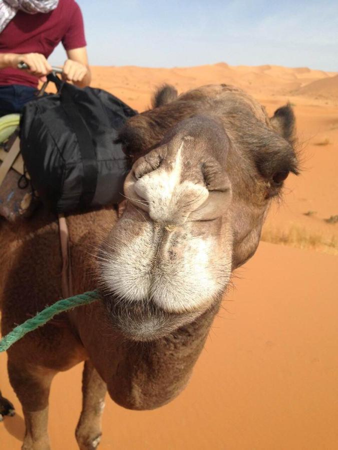 מרזאוגה Desert Camel Trekking Camp מראה חיצוני תמונה