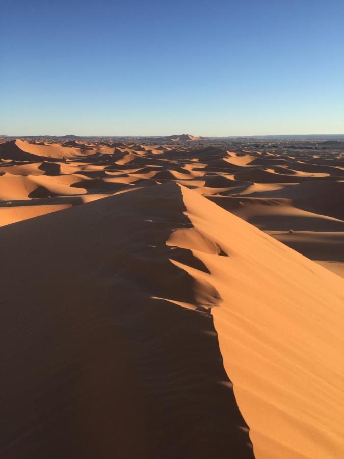 מרזאוגה Desert Camel Trekking Camp מראה חיצוני תמונה
